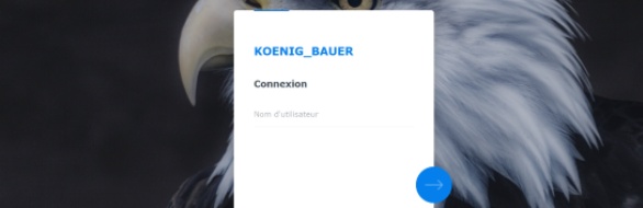 Aperçu de l'application